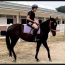 이철주목장 이미지