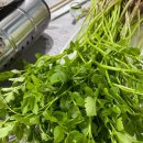 유가농장 이미지