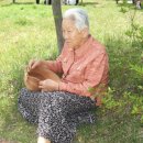 용담초등학교 이미지