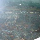 월전수산 이미지