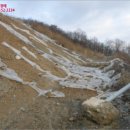 연천군마전리보건진료소 | [경기연천군토지(임야)경매] 연천군 미산면 마전리 산81-1 # 2014타경50923 #