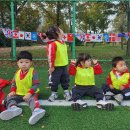 ⛹️‍♂️그들만의 리그⛹️‍♀️ 이미지