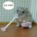 오요이네일 후기 - oyoi_nail