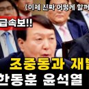 조중동, 갑자기 한동훈 비대위원장 선출 맹비판!! 이미지