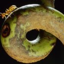 생태전문생태야생태 이미지