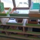 석화꽃무지풀무지유치원 이미지