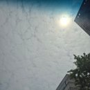 [부산] 가야벽산점 하삼동커피