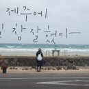 제주에오길잘했다