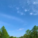 애플랜드 이미지