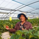 경인농장 이미지