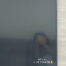 잘 먹고 잘 사는 도리네 일상 기록