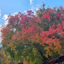 속리산 법주사 | 단풍 산행| 속리산 법주사 문장대 등산 코스 등반대회 후기