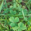 깜헤어샵 이미지