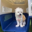 놀러오개 서산점 이미지