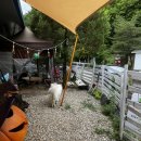 GR(평창군)-[서동로]-상-6 | [평창 캠핑]보물섬 캠핑장 계곡캠핑장 방림송어회 포장 방아다리막국수