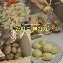 올바른 농원 | 햇감자 수미감자 느티나무농원 감자추천 | 강원도 노지감자의 포슬포슬한 매력