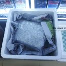 코코농원2 이미지