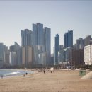 해운대로 이미지