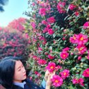 미약국 | 부천마운자로 처방 약국 내돈내산 4달완료후기 약16키로 감량