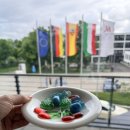 독일 본 Marriott Bonn Hotel 솔직후기｜라인강뷰 객실·라운지·사우나 완벽했던 본 호텔 추천