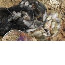 까치공업사 이미지