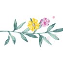 세진커텐장식 이미지