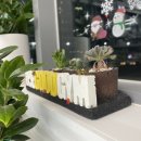 더굿짐 | 안양 헬스 더굿짐 3개월 다녀본 내돈내산 솔직후기