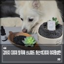 스니피드 이미지