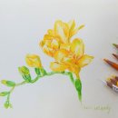 예쁜 꽃그리기(보테니컬아트) 이미지