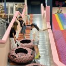 초심, 처음태권도 이미지