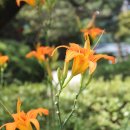 청주문화관 이미지