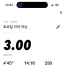 하이캔