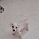 베니펫살롱 이미지