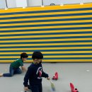 국가대표 샛별태권도장 이미지