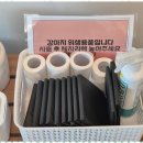 도심속의하루