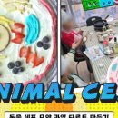 서초대로53길 15 이미지