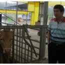 김종호농장 이미지