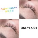 삼척속눈썹온리래쉬 네이버블로그