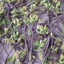 부부회관 이미지