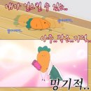 근황까지 적으려다 유턴하고 일단 제주여행만