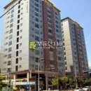 강서구-63 이미지