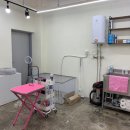 비마인 독 이미지