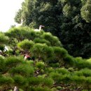 창녕군청 이미지