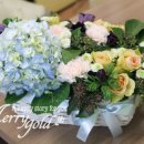스타일바스켓(Style basket)