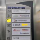 뷰티 몽 이미지