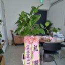 고향꽃화원 이미지