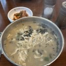 수제국수(부산시청점) | [부산/연산동]부산시청 근처 직장인 점심 가성비 맛집 추천 리스트 공유 3탄(+혼밥가능)
