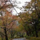 지리산아름다운펜션 이미지