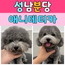 애니테티카 이미지