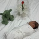 부뉴 | 주간일기 | 2월 5주 (2월 26일 ~ 3월 3일) : 조리원 life #2